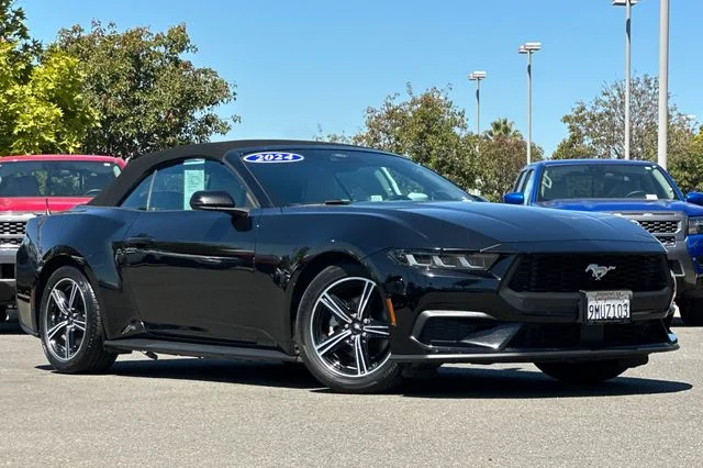 Used 2024 Black Ford EcoBoost Premium image 10
