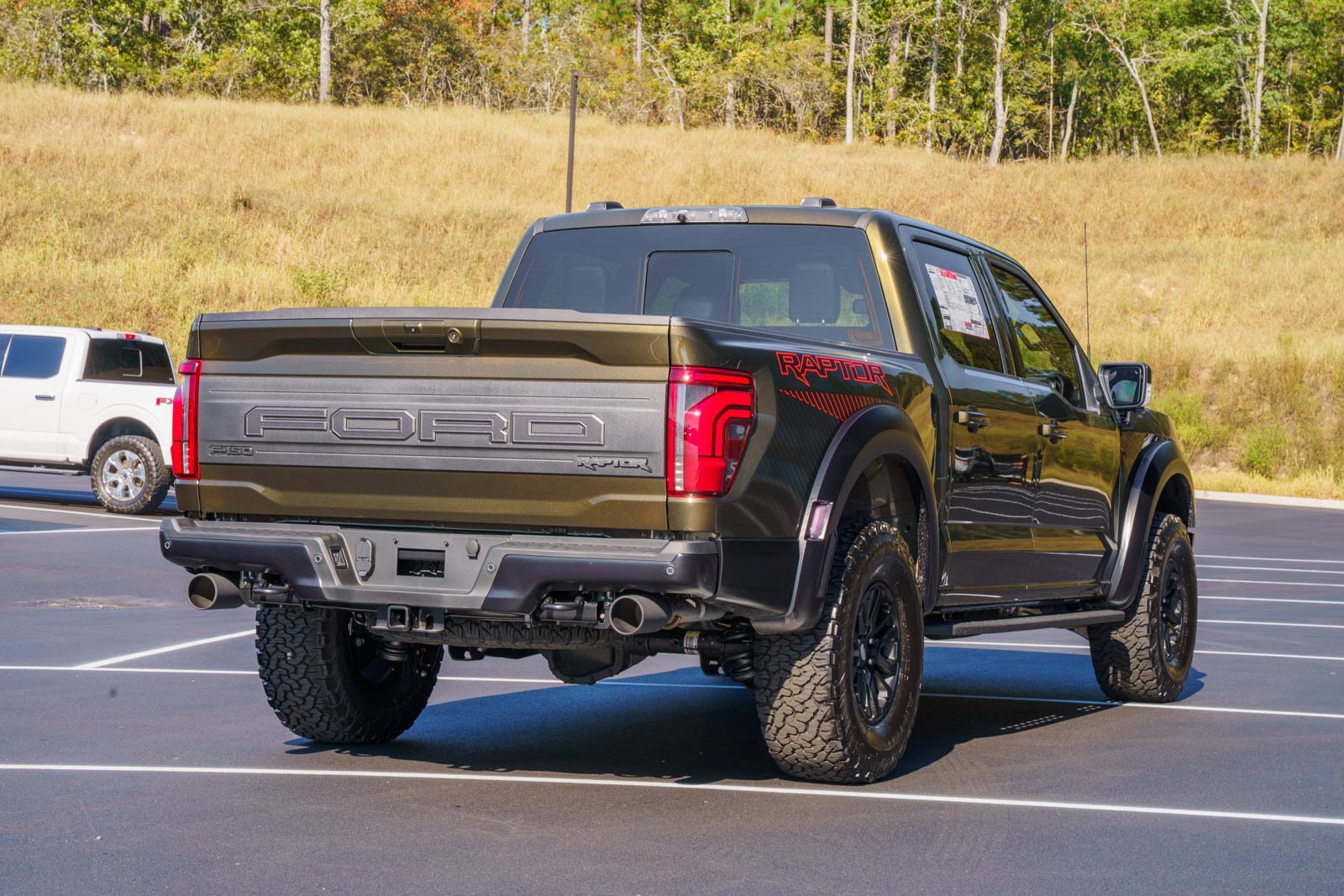 New 2026 Shelter Green Ford Raptor® image 12