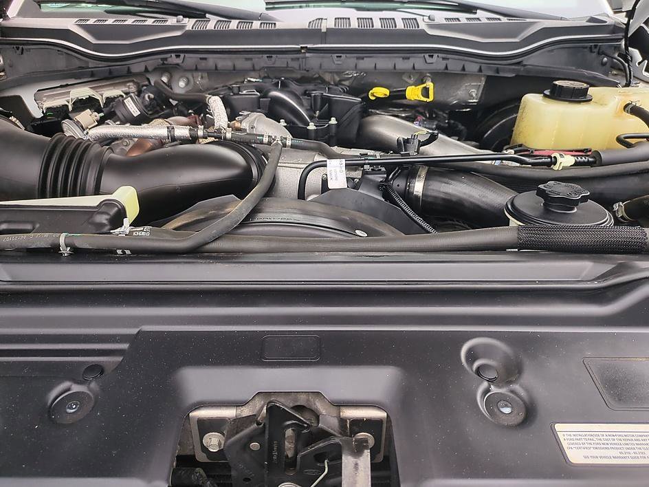 Used 2019 OXFORD WHITE Ford XL image 25