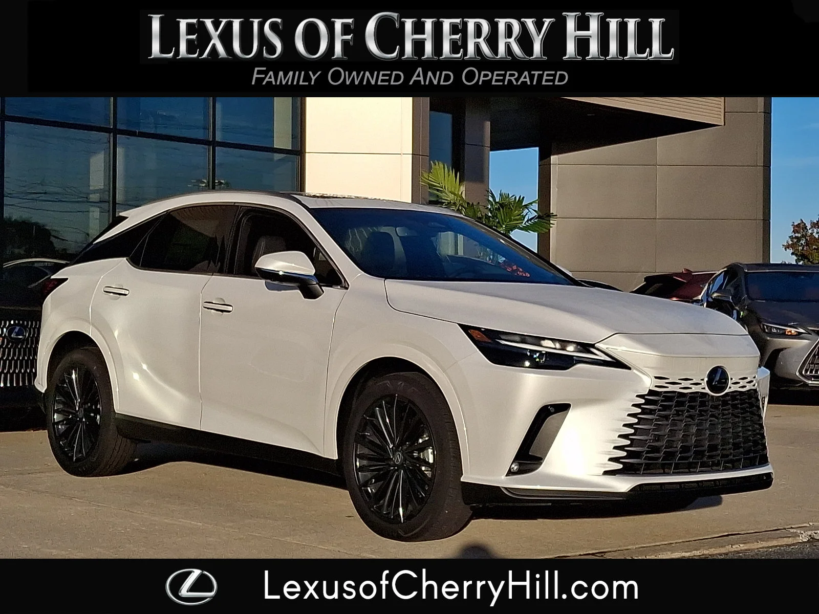 2026 Lexus RX