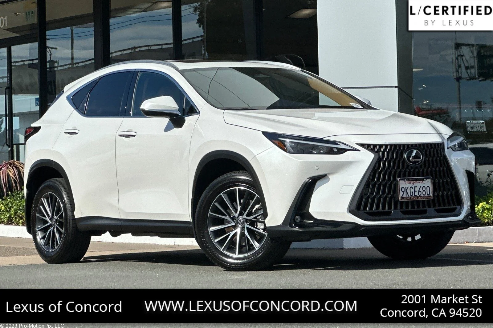 2024 Lexus NX