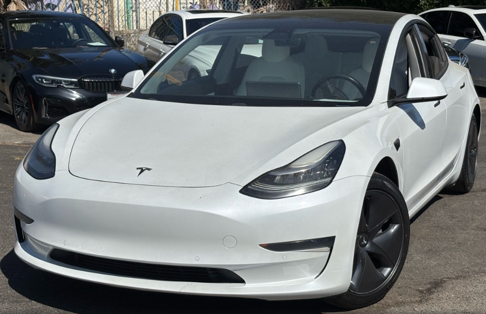 2020 Tesla Model 3 Standard Range Plus's photo