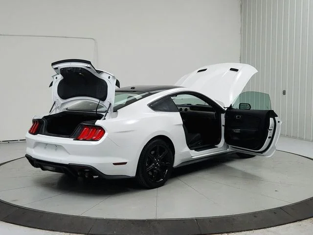 Used 2019 White Ford GT image 15