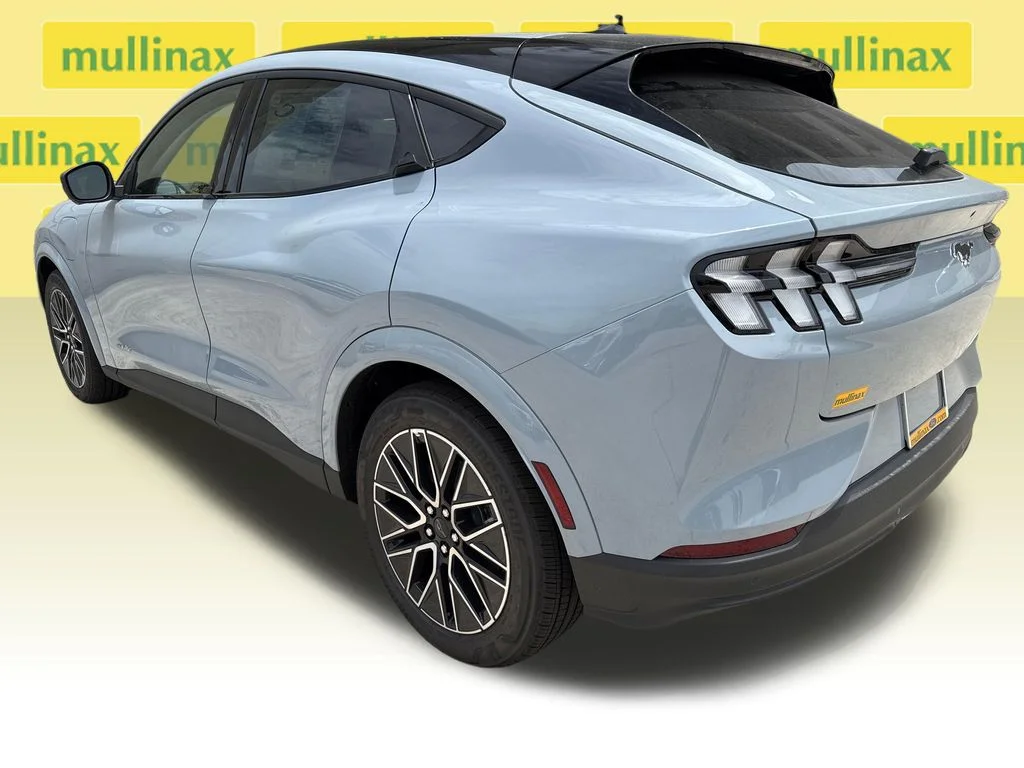 New 2026 Gray Ford Premium image 4