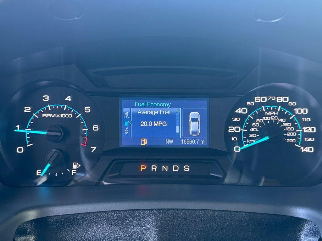 Used 2019 Blue Metallic Ford SE FWD image 15