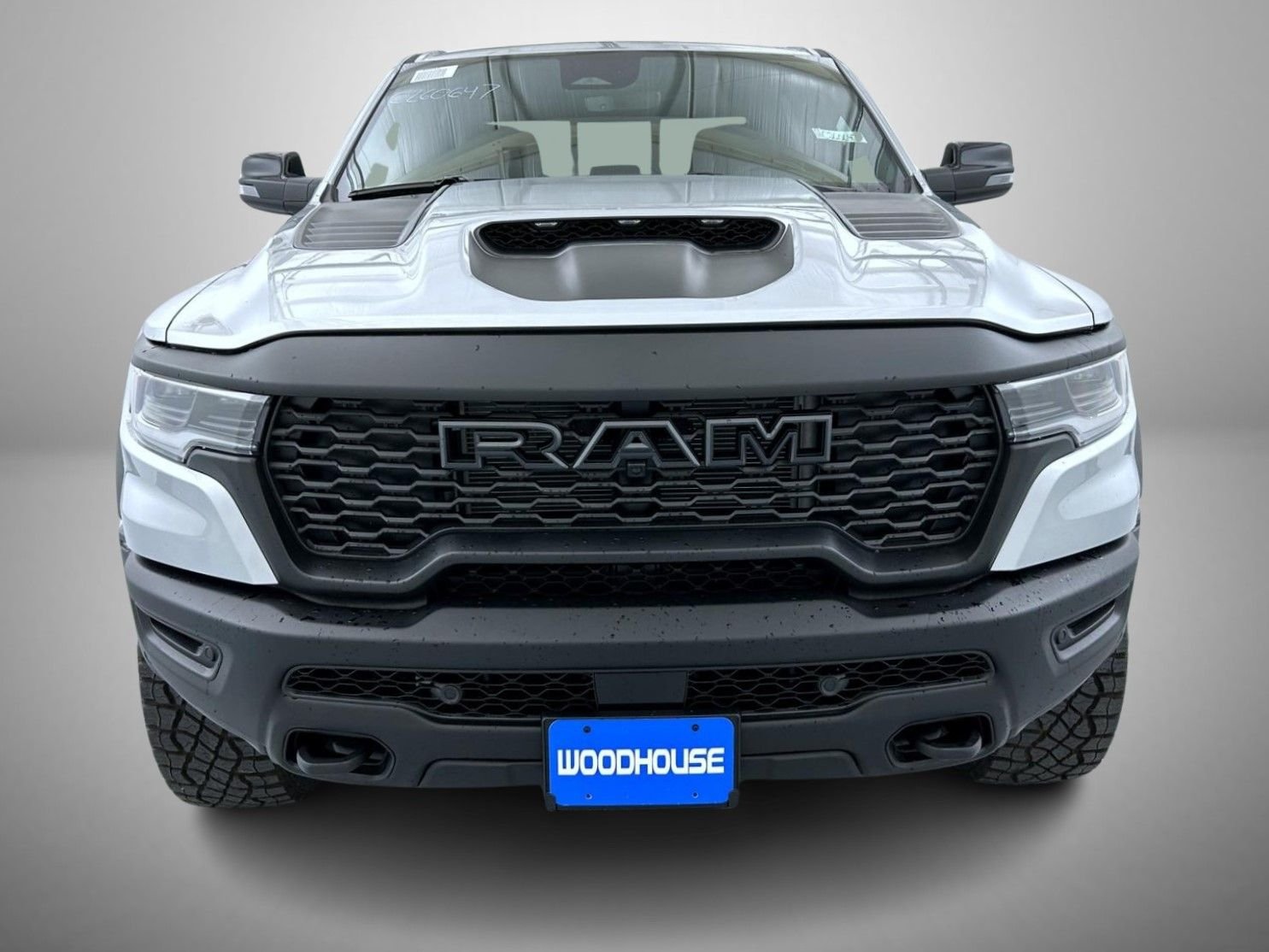New 2026 Silver Zynith Exterior Paint RAM RHO image 2