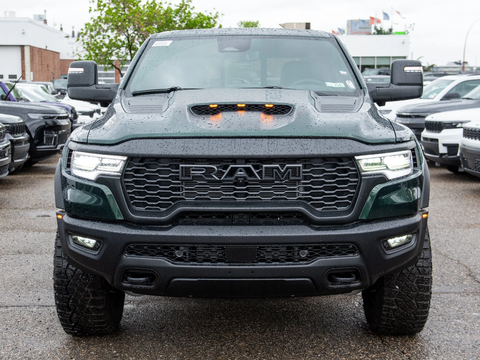New 2026 Green RAM RHO* image 9