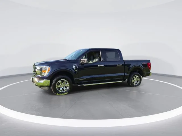 Used 2023 Blue Ford XLT image 4