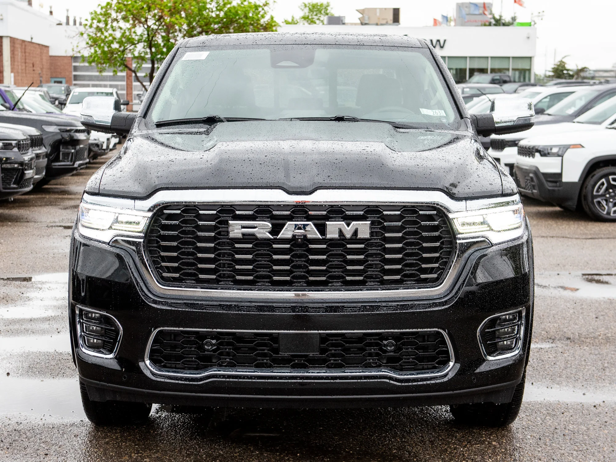 New 2026 Black RAM Tungsten* image 12
