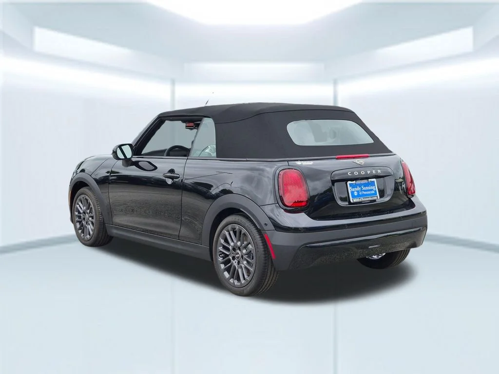 New 2026 Black MINI  image 3