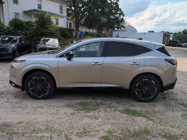 New 2026 Champagne Silver Metallic Nissan Platinum image 6
