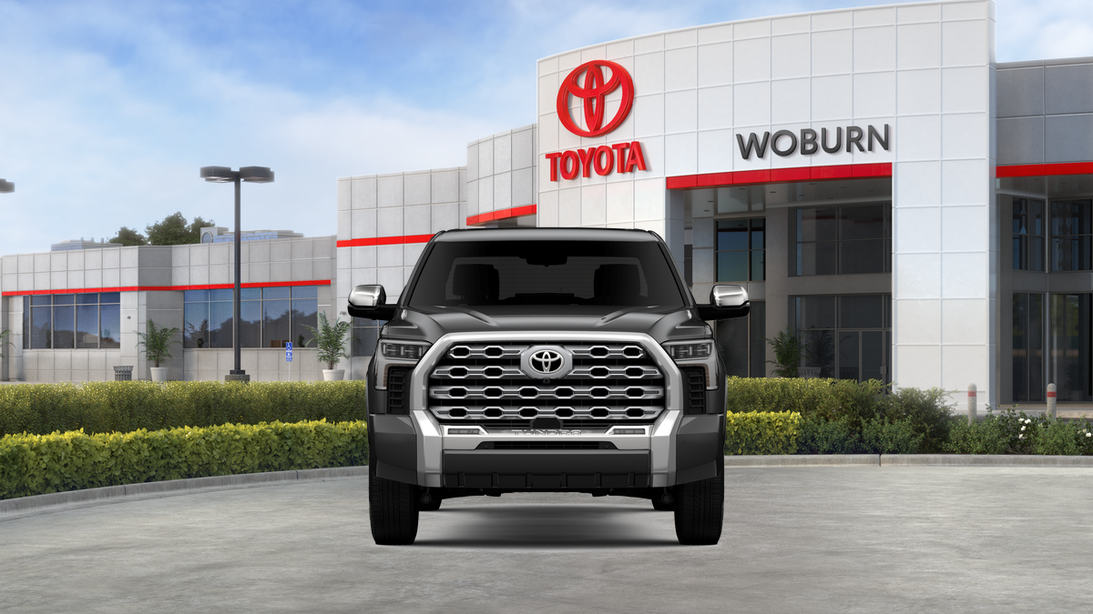 2025 Toyota Tundra 1794 Edition - Photo 37