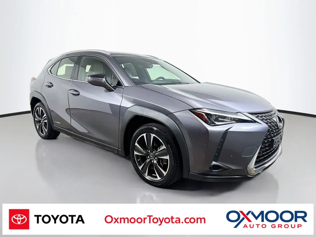 2019 Lexus UX Hybrid