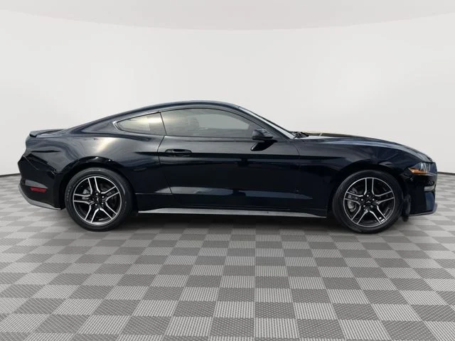 Used 2021 Black Ford EcoBoost Premium image 5