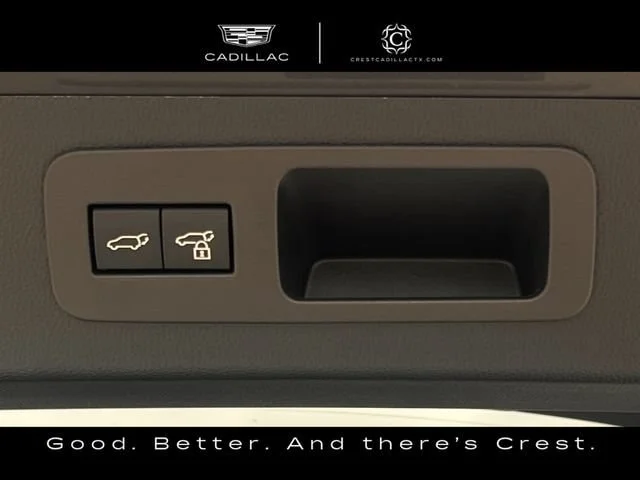 Used 2025 Gray Lexus Luxury image 26