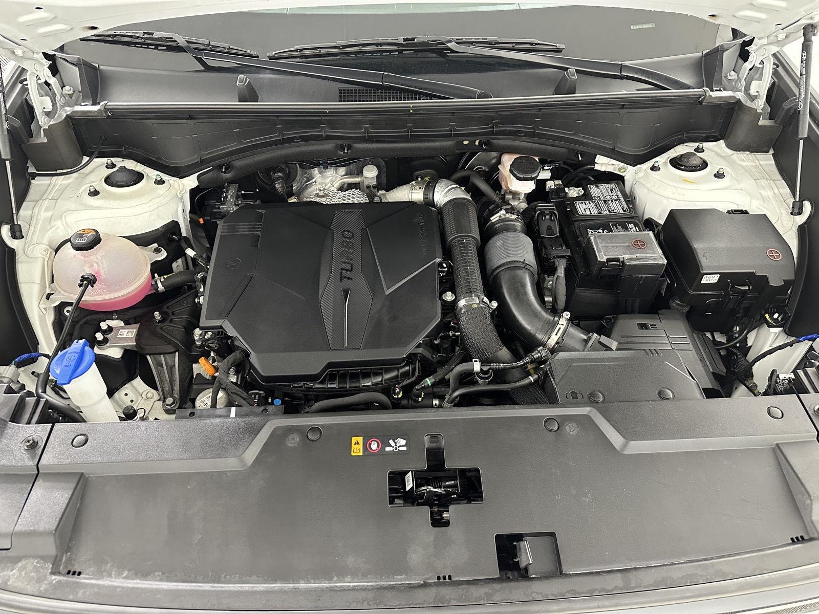 Used 2024 Serenity White Hyundai Limited image 24