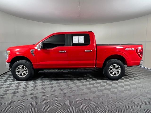 Used 2023 Red Ford XLT image 4