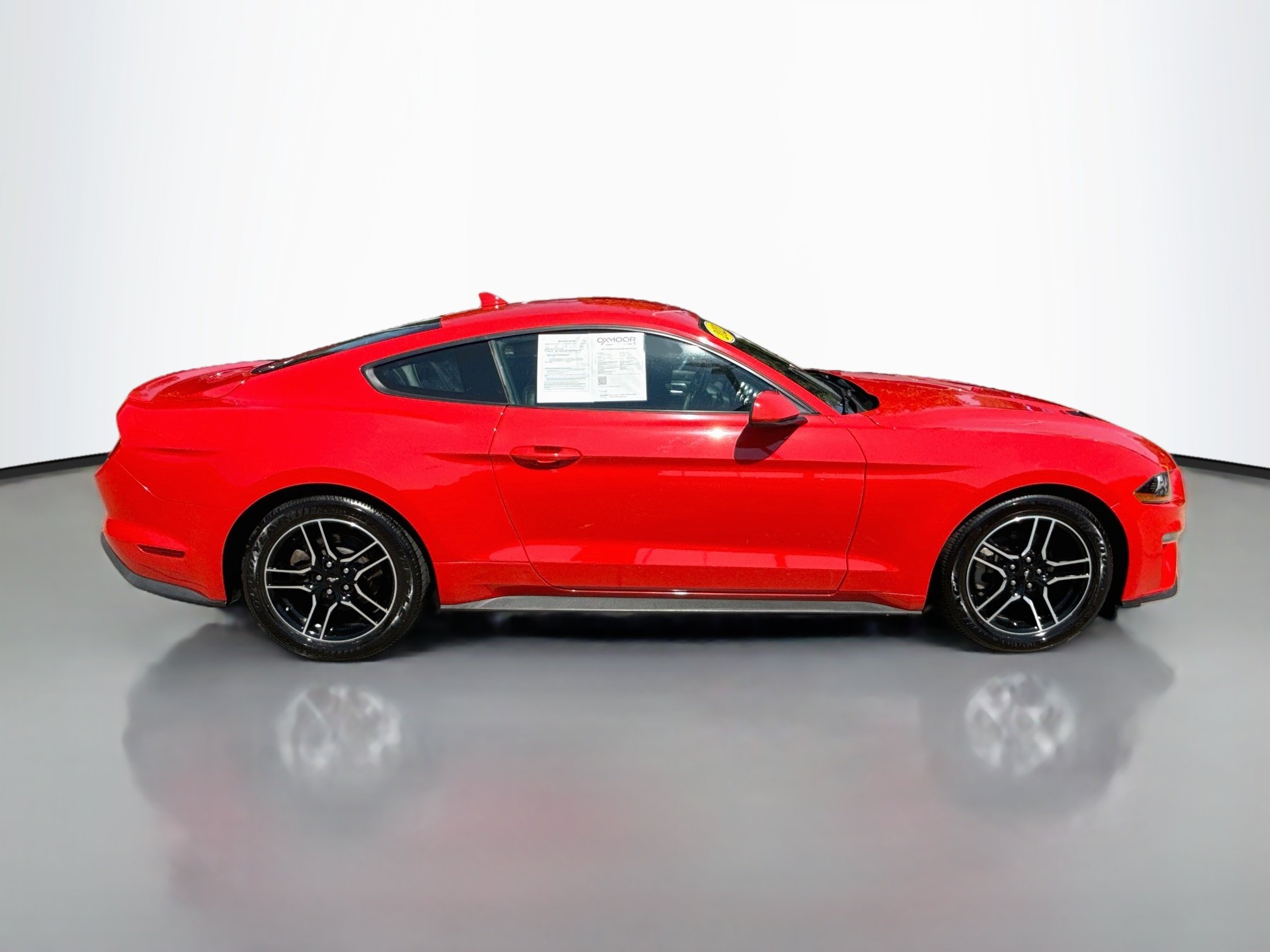 Used 2021 Race Red Ford EcoBoost Premium image 8