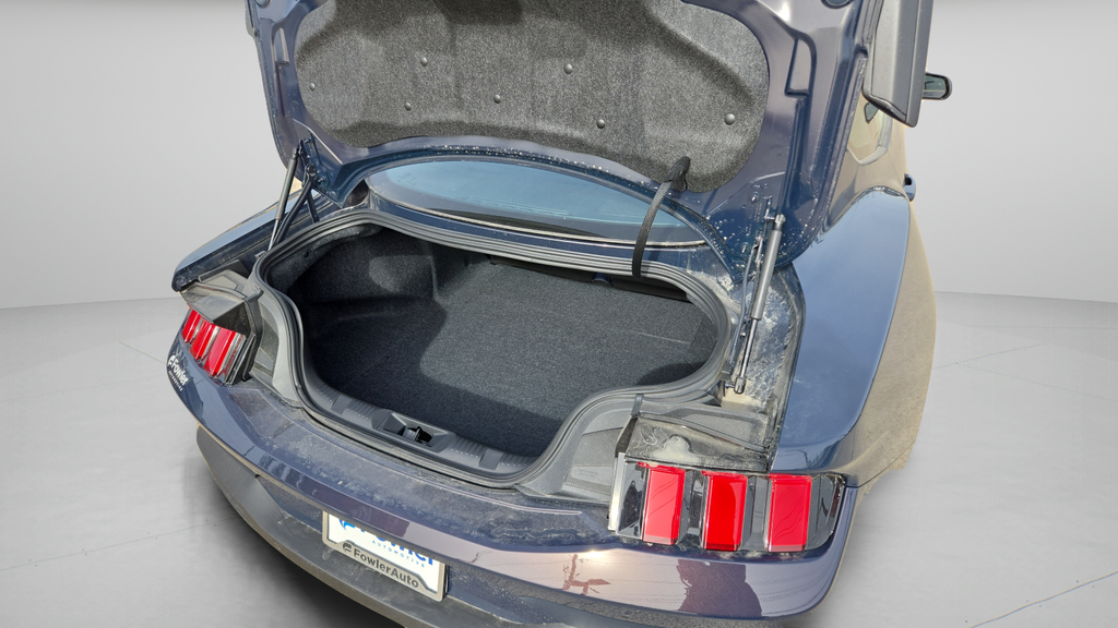 2025 Ford Mustang Dark Horse - Photo 22