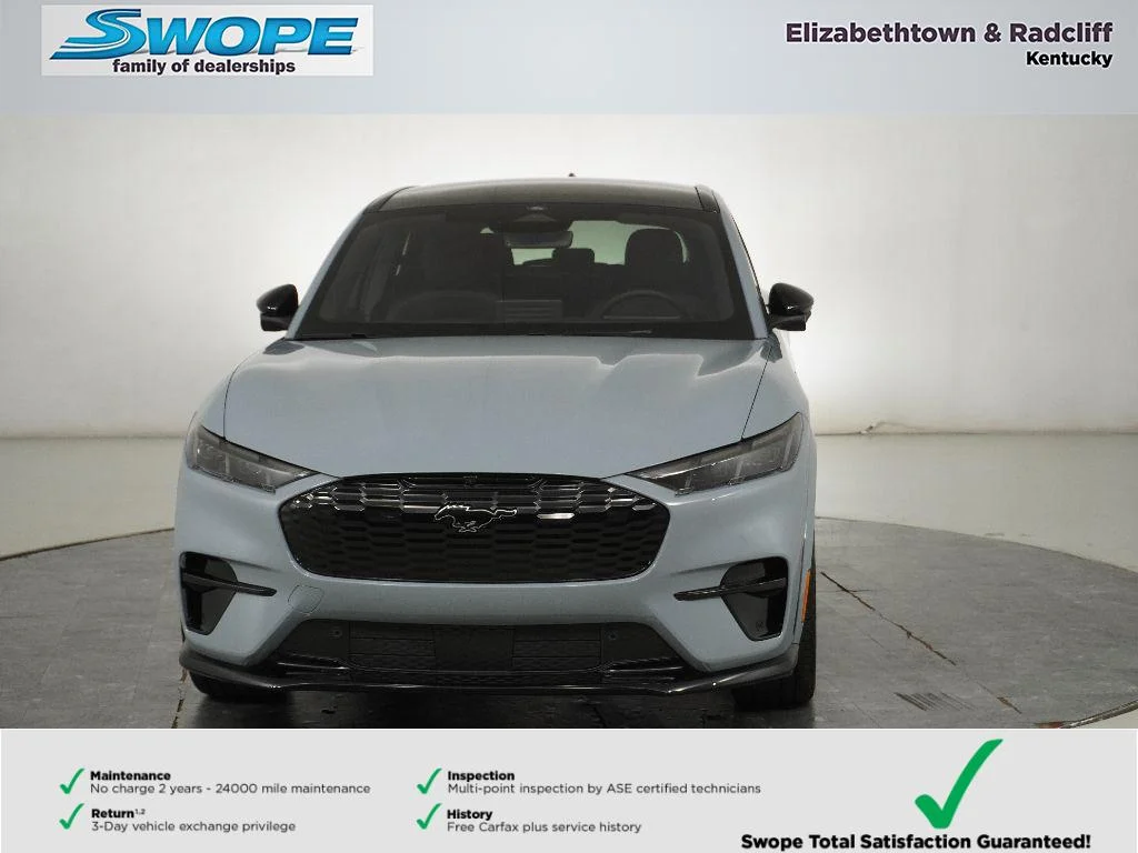 2025 Ford Mustang Mach-E GT - Photo 10