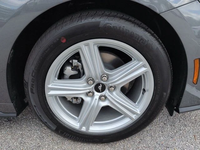 New 2026 Carbonized Gray Metallic Ford EcoBoost® Fastback image 11