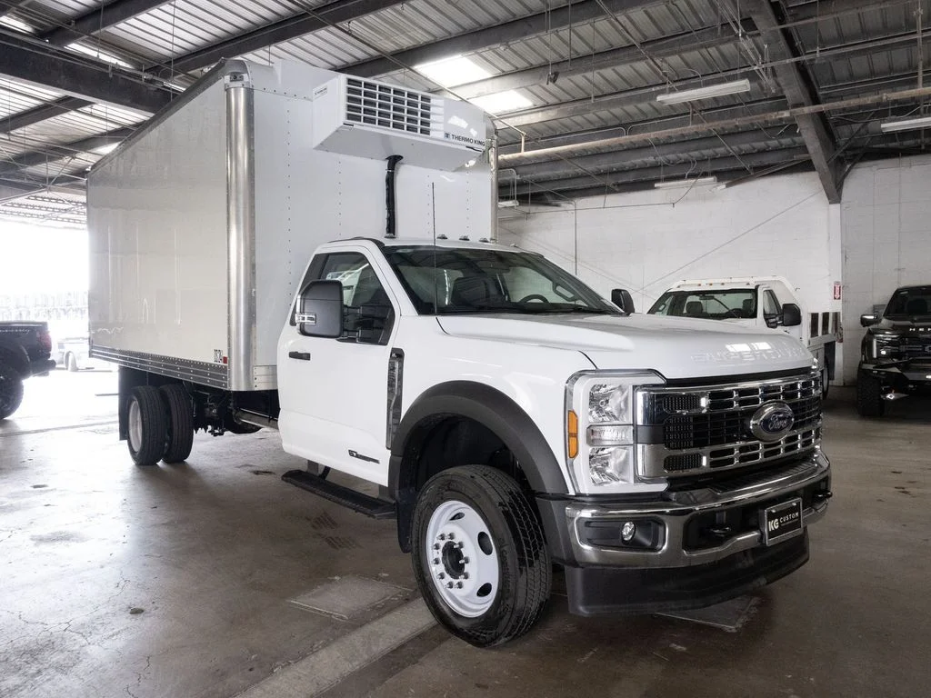 New 2025 White Ford XL image 1