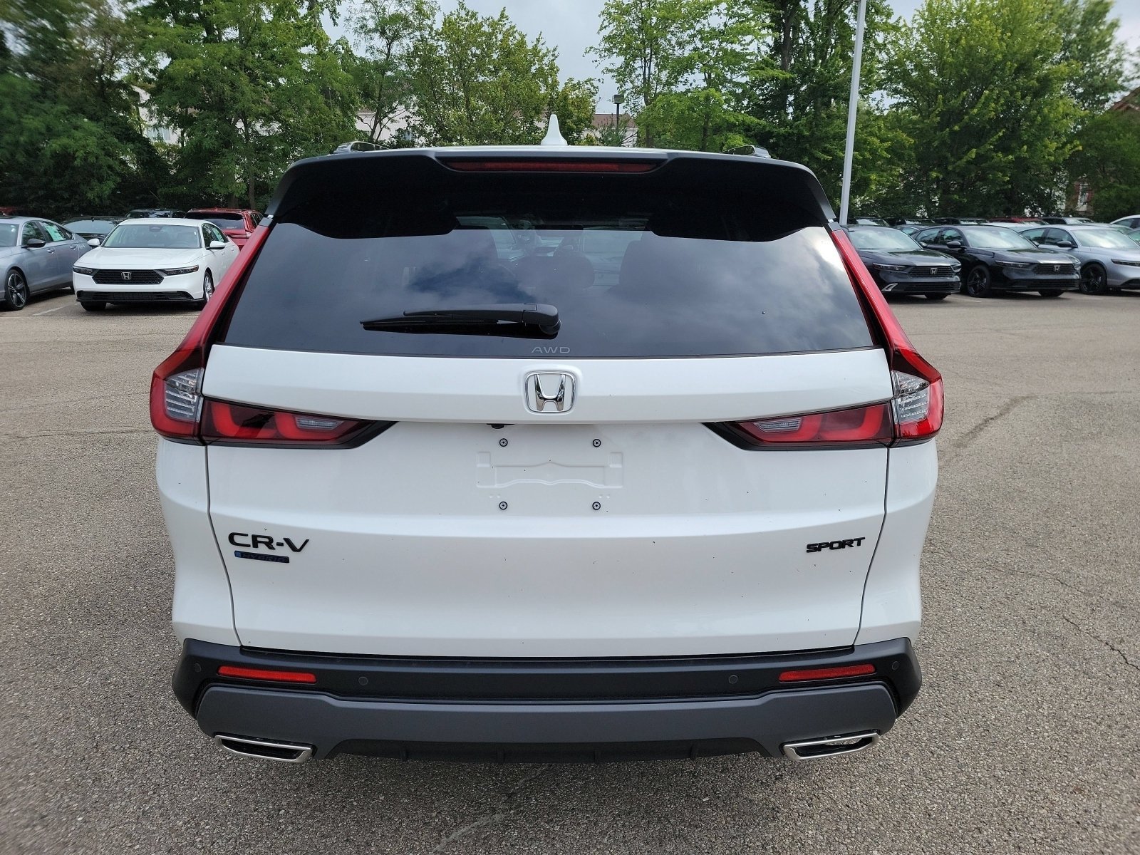 New 2026 Platinum White Pearl Honda Sport-L image 24