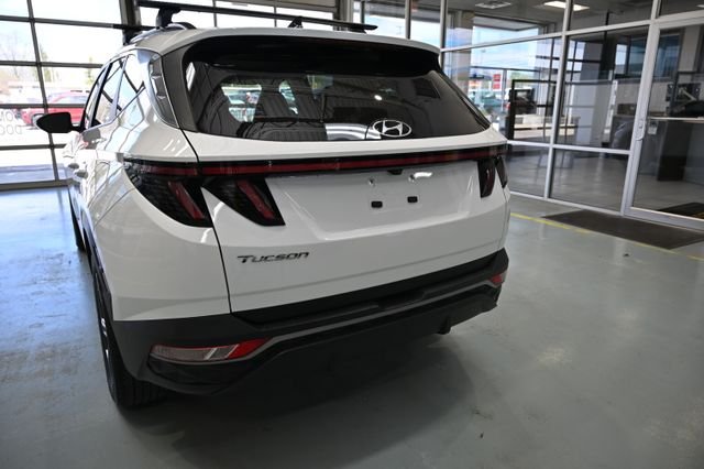 Used 2023 White Hyundai SEL image 6