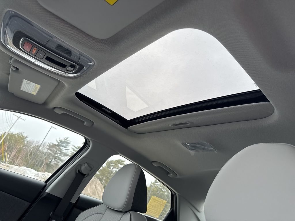 New 2026 Silver Hyundai Limited image 14