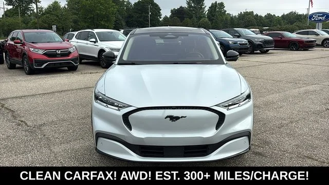 Used 2023 White Ford California Route 1 image 6