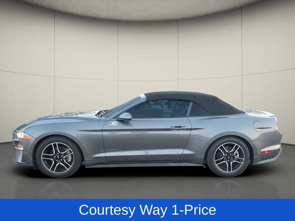 Used 2021 Gray Ford EcoBoost Premium image 5