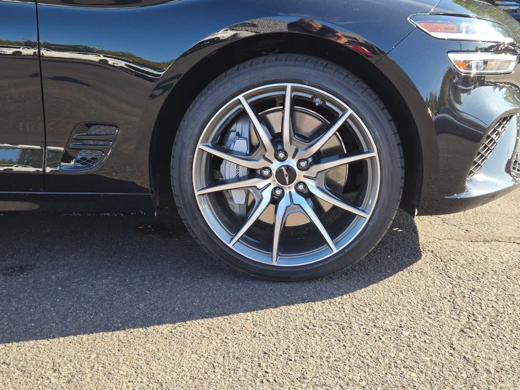 Used 2026 Vik Black Genesis 2.5T Prestige image 9