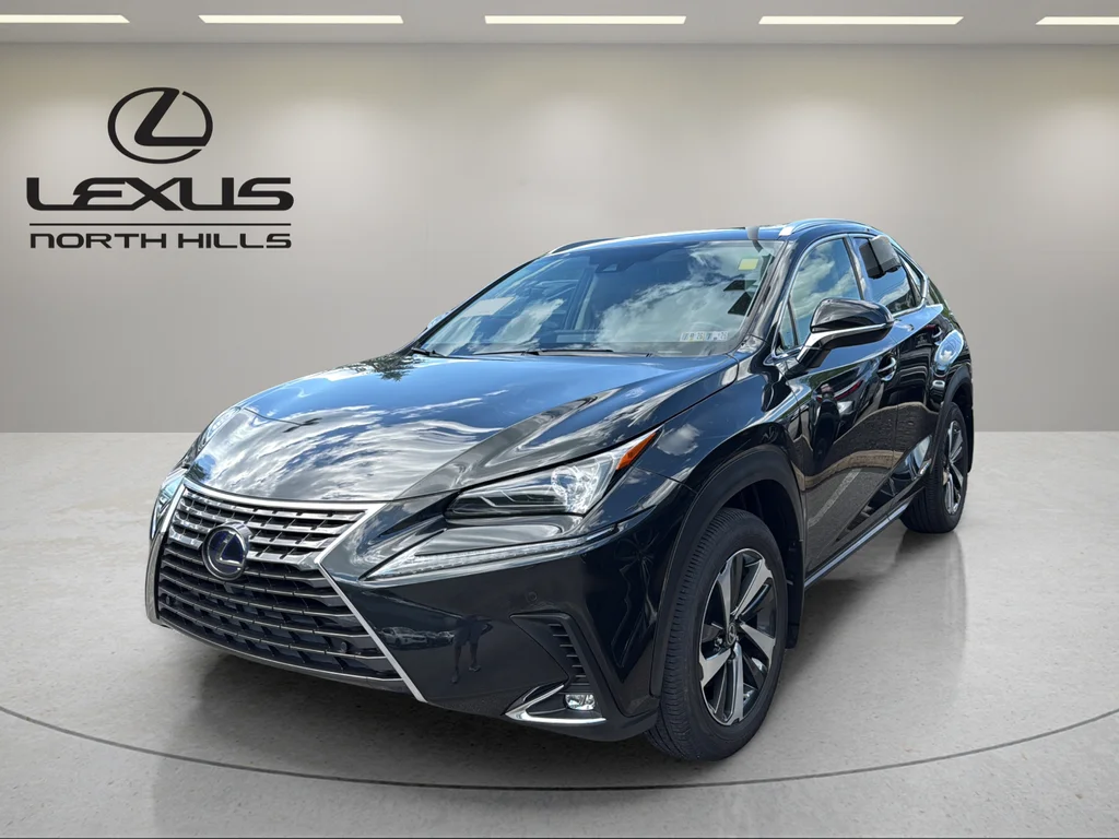 2021 Lexus NX 350h 300h AWD's photo