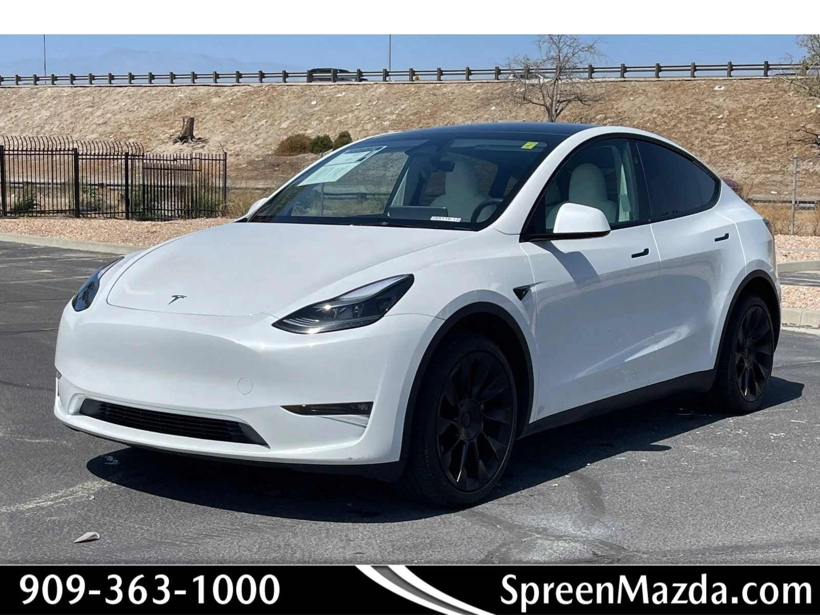 2025 Tesla Model Y Long Range