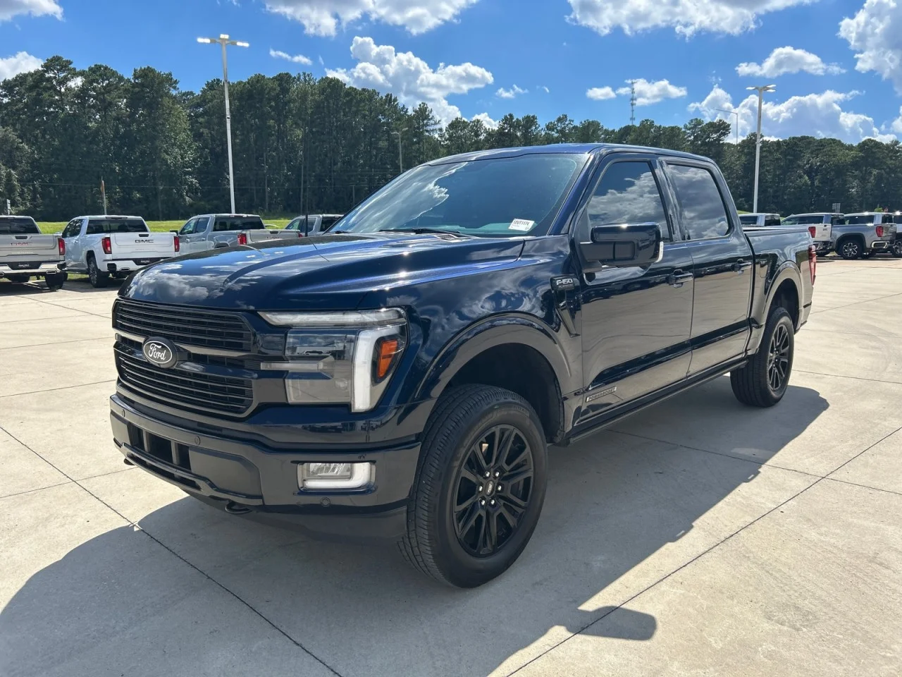 Used 2024 Blue Ford Platinum image 1