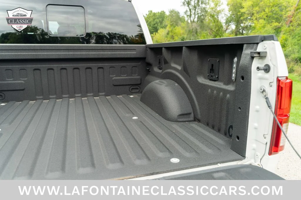 Used 2019 White Ford Limited image 41