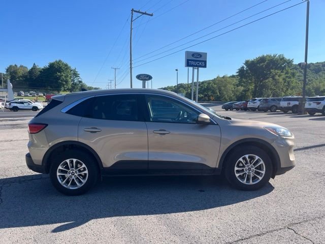 Used 2020 Desert Gold Metallic Ford SE image 4