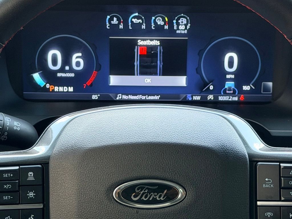 Used 2024 White Ford Limited image 21