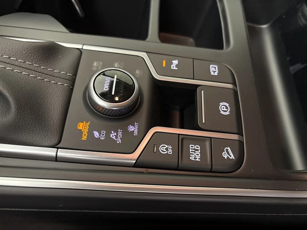 New 2026 Panthera Metal Kia S image 34
