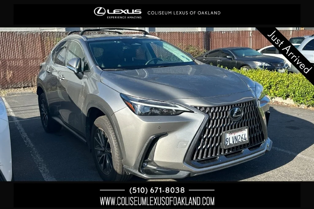 2024 Lexus NX