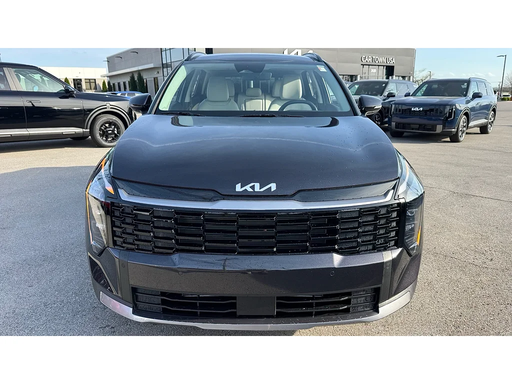 New 2026 Panthera Metal Gray Kia EX image 29