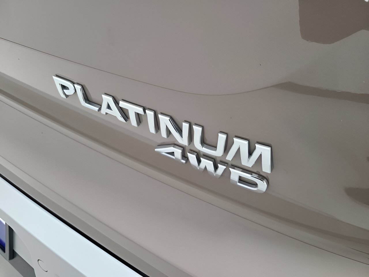 Used 2025 Baja Storm Nissan Platinum image 6