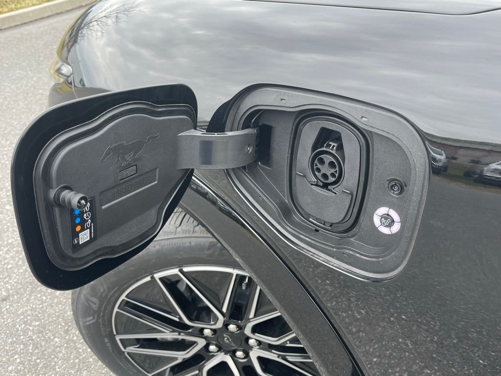 New 2026 Shadow Black Ford Premium image 5