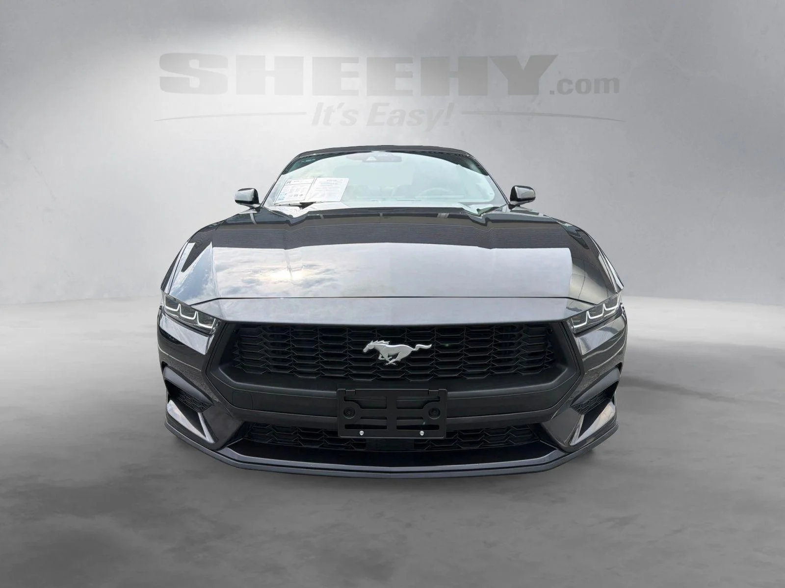 Used 2024 Dark Matter Gray Ford EcoBoost image 16
