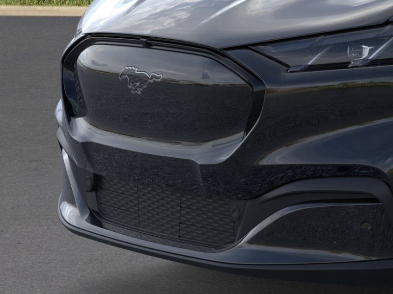 New 2026 Shadow Black Ford Premium image 17
