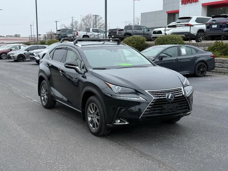 2019 Lexus NX 350h 300h AWD's photo