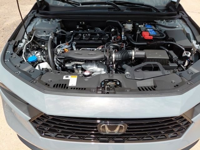 New 2026 Urban Gray Pearl Honda SE image 34