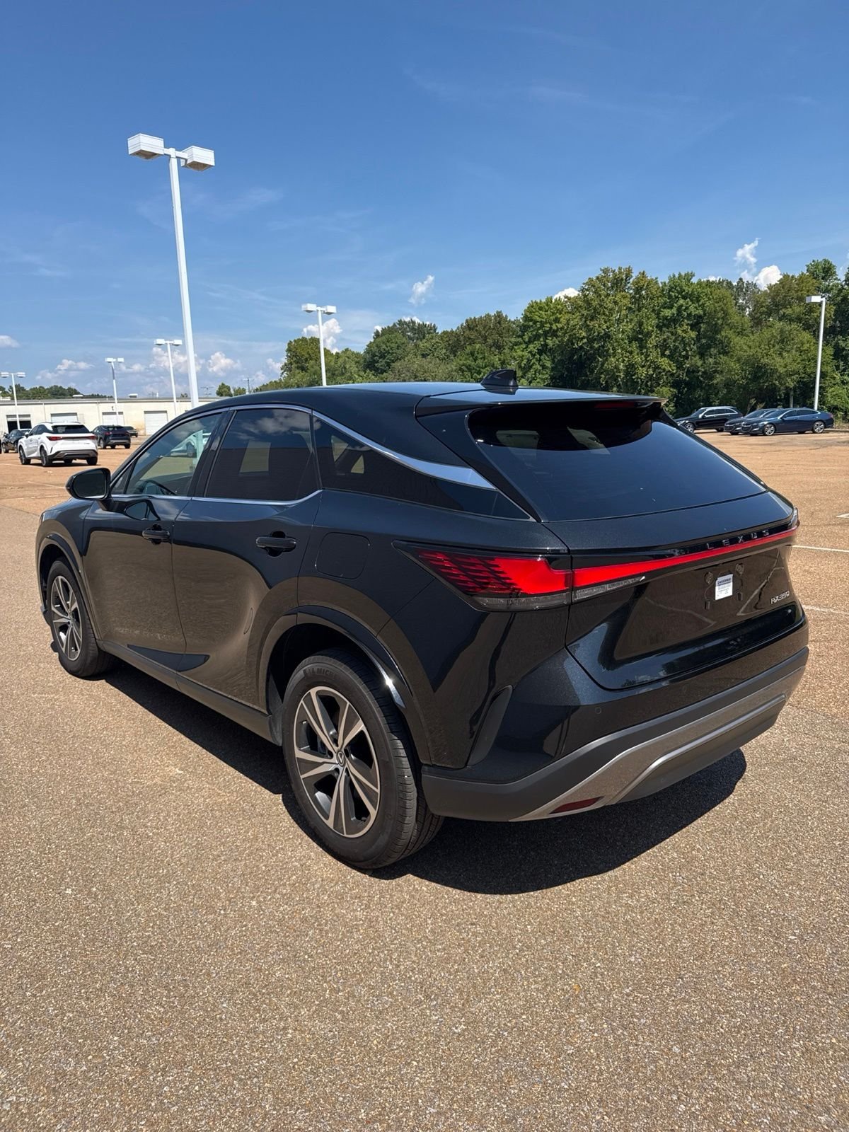 2024 Lexus RX 350 - Photo 22