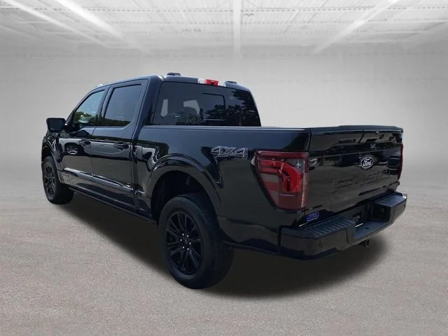 Used 2024 Black Ford Platinum image 30