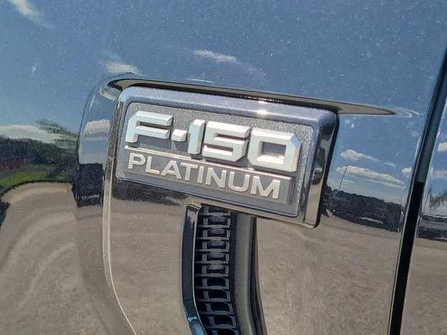 New 2026 Black Metallic Ford Platinum image 9